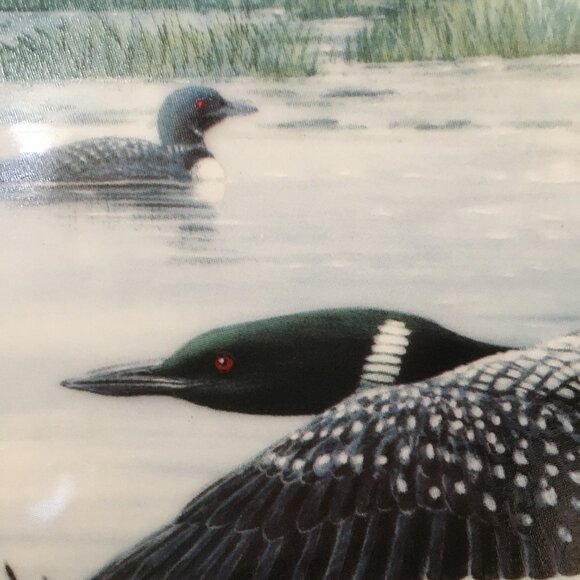 2/$40 Voice of the North Decorative Plate 'Time To Fly' Don Li-Leger - Picture 3 of 8